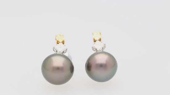 Black Pearl with Fancy Yellow & White Lily Cut Diamond Drop Earrings